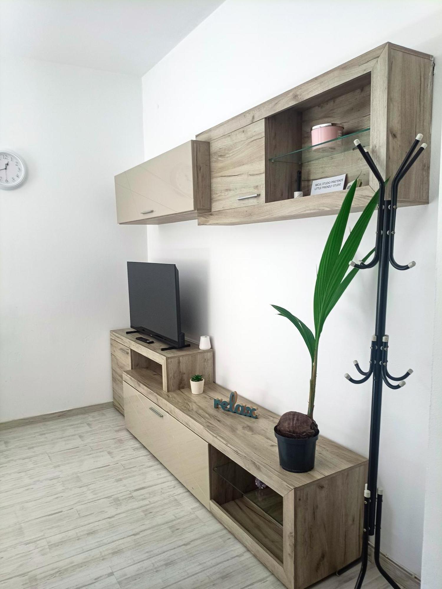 Friendly Little Studio Brasov Luaran gambar